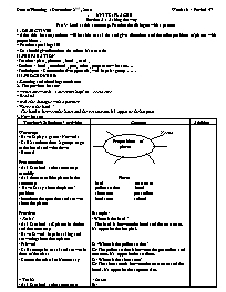 Giáo án môn Tiếng Anh Lớp 7 - Unit 8: Places - Section A: Asking the way (A3)