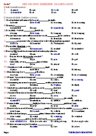 The second semesfer examination Grade 7