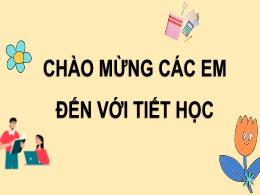 Bài giảng Toán Lớp 7 (Cánh diều) - Chương I, 