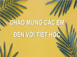 Bài giảng Toán Lớp 7 (Cánh diều) - Chương III