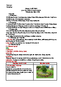 Kế hoạch bài dạy Toán Lớp 7 (Cánh diều) - Chư