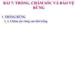 Bài giảng Công nghệ 7 (Chân trời sáng tạo) - 