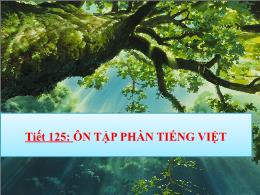Bài giảng Ngữ văn 7 - Tiết 125: Ôn tập phần T