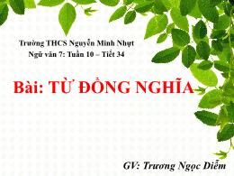 Bài giảng Ngữ văn Lớp 7 - Tiết 34, Bài: Từ đồ