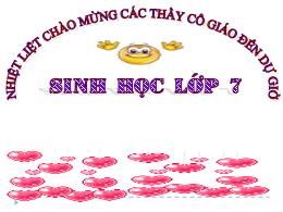 Bài giảng Sinh học 7 - Bài 29: Đặc điểm chung