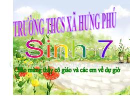 Bài giảng Sinh học 7 - Bài 7: Đặc điểm chung 