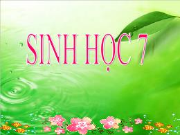 Bài giảng Sinh học 7 - Chương 7, Bài 53: Môi 