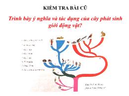 Bài giảng Sinh học 7 - Chương 8, Tiết 57: Đa 