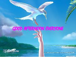 Bài giảng Tiếng Anh 7 - Unit 6, Lesson 1: Wha