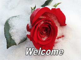 Bài giảng Tiếng Anh 7 - Unit 9, Section B: Ne