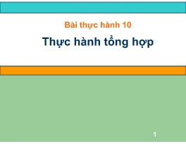 Bài giảng Tin học 7 - Bài thực hành 10: Thực 