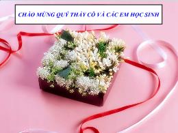 Bài giảng Toán 7 - Tiết 30, Bài 6: Mặt phẳng 