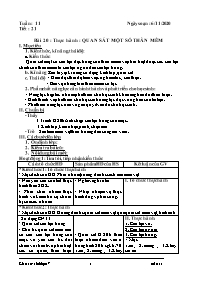 Giáo án Sinh học Lớp 7 - Tuần 11 - Năm học 20
