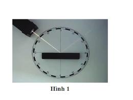 Bài giảng Khoa học tự nhiên 7 - Bài 13: Phản 