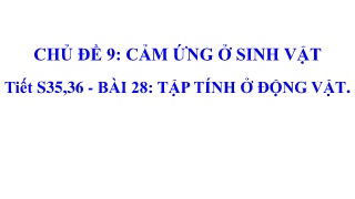Bài giảng Khoa học tự nhiên Lớp 7 - Bài 23: T