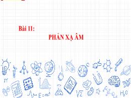 Bài giảng Khoa học tự nhiên Lớp 7 (Cánh diều)