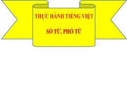 Bài giảng Ngữ văn 7 - Thực hành tiếng việt: S