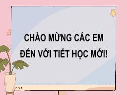 Bài giảng Tin học 7 - Bài 10: Thực hành tổng 